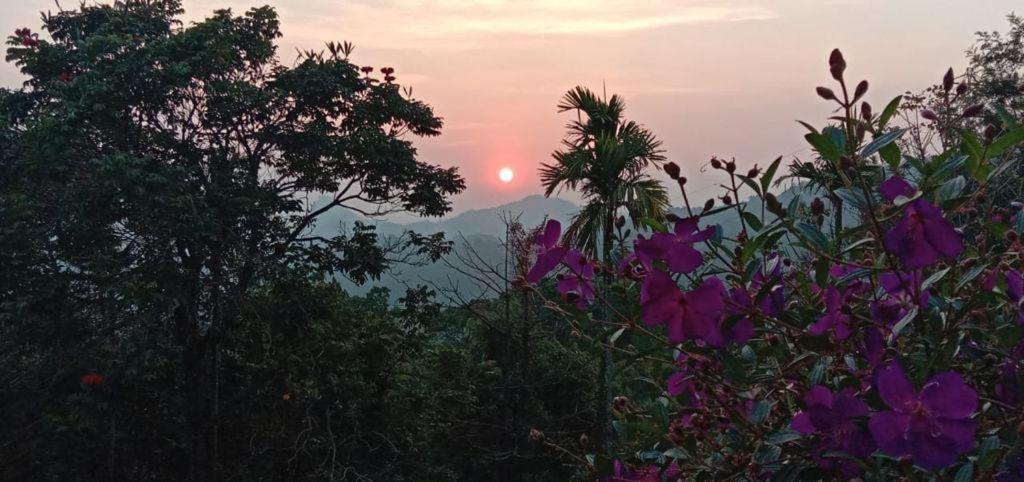 Munnar Tent Hills Resort Devikolam Εξωτερικό φωτογραφία